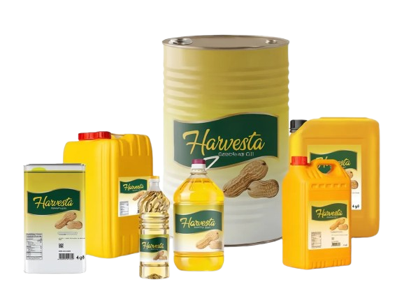 jero2 removebg preview