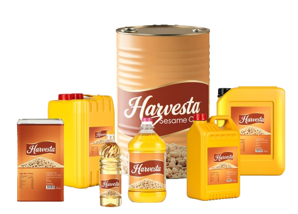 jero3 removebg preview